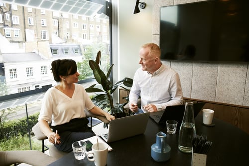 Professional translation services