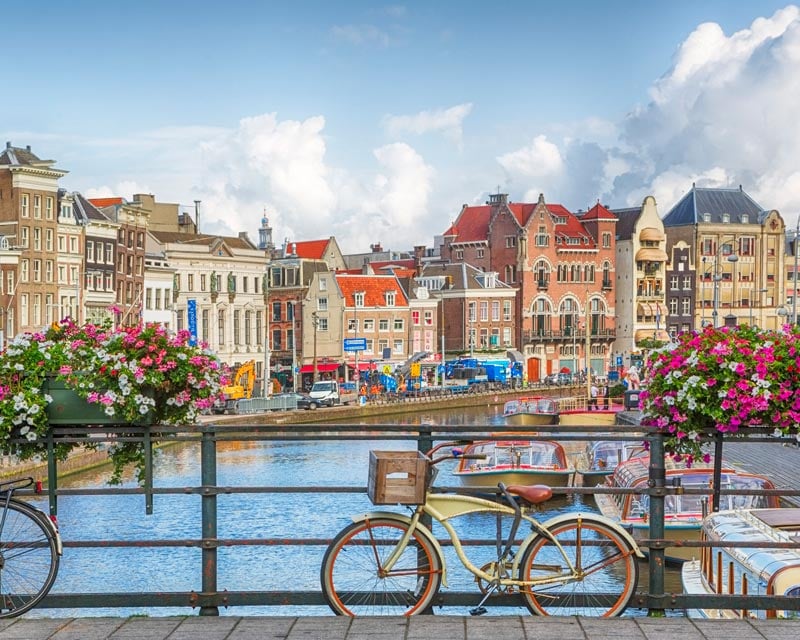  5 Interesting Facts: Dutch Language and Translation