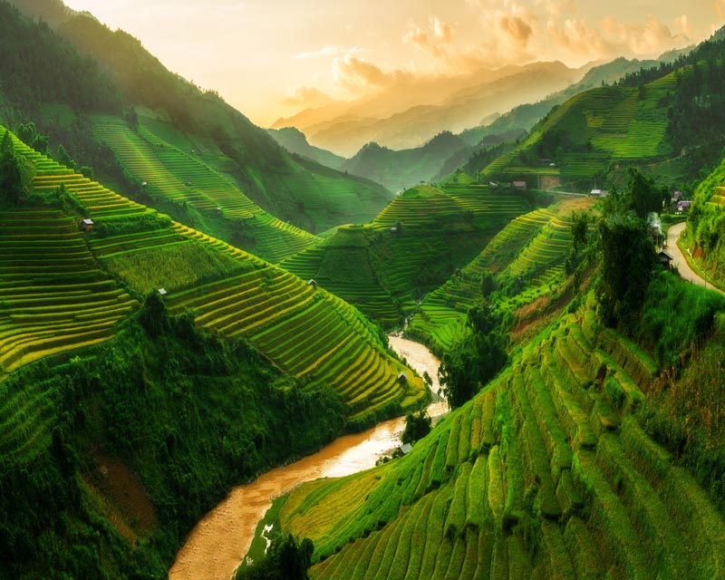 The Best Languages to Learn for Doing Business in Southeast Asia
