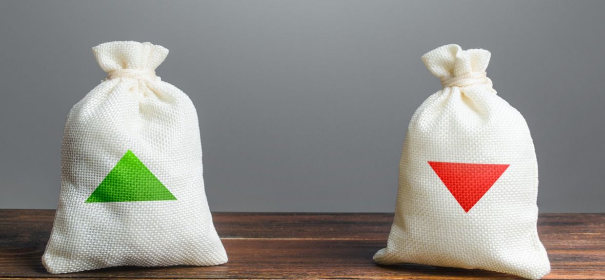 Pros & Cons of Using a Language Services Provider